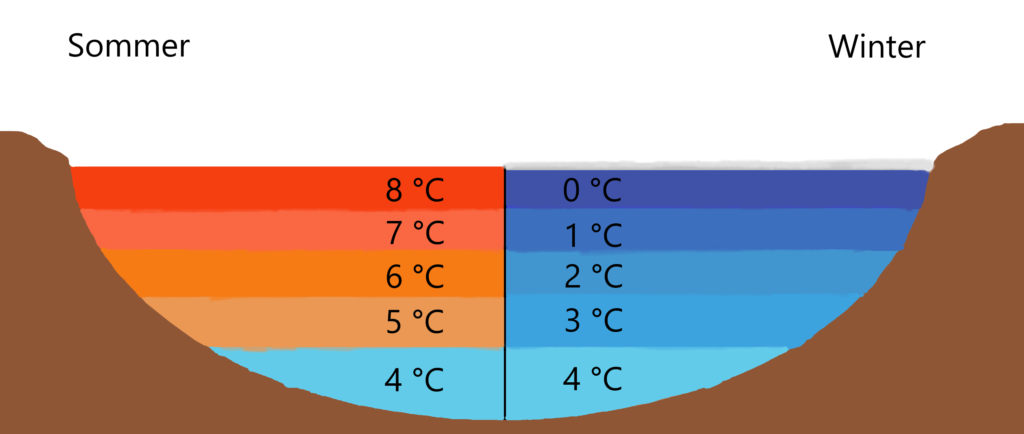 Die verschiedenen Wassertemperaturen in einem See im Sommer und im Winter zur Veranschaulichung der Dichteanomalie von Wasser